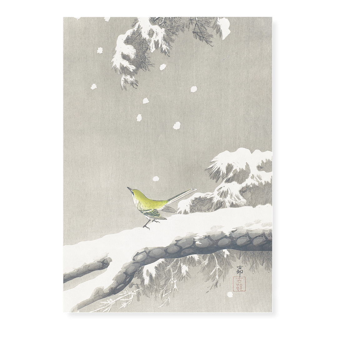 Wagtail on a snowy bough By Ohara Koson - Art Print