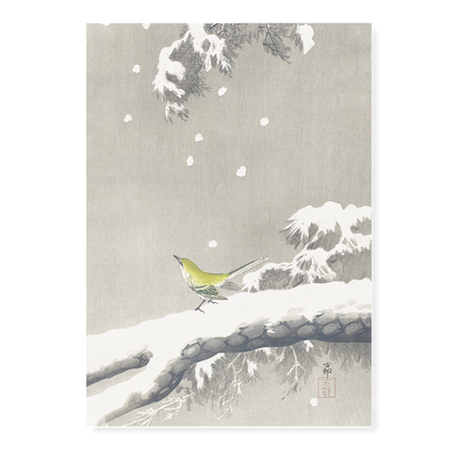 Wagtail on a snowy bough By Ohara Koson - Art Print