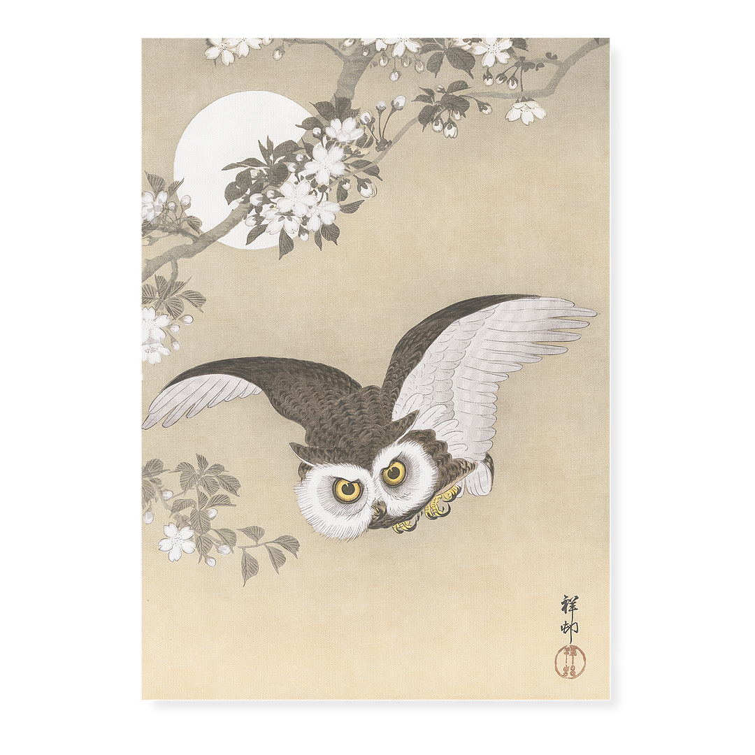 Scops Owl Flying Under Cherry blossoms By Ohara Koson - Art Print