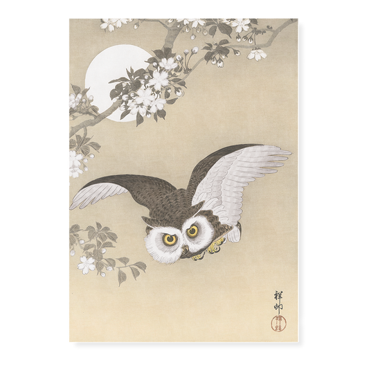 Scops Owl Flying Under Cherry blossoms By Ohara Koson - Art Print