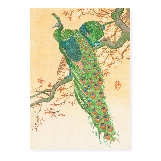 Peacock and Peahen on Branch By Ohara Koson - Art Print