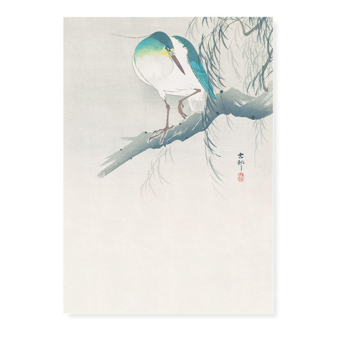 Night-heron with raised leg perched on a willow branch By Ohara Koson	 - Art Print