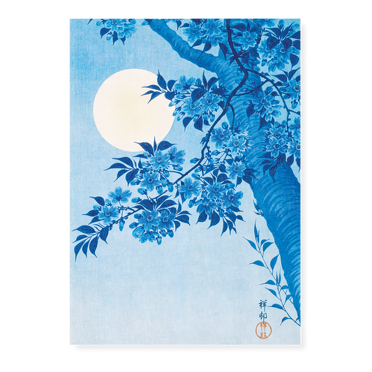 Blossoming Cherry on a Moonlit Night By Ohara Koson - Art Print