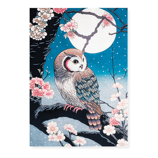 Owl on blossom with a full moon - Art Print