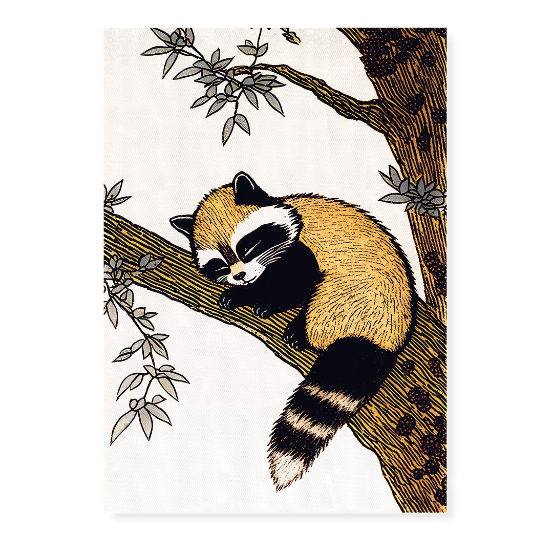 Racoon sleeping in a tree - Art Print