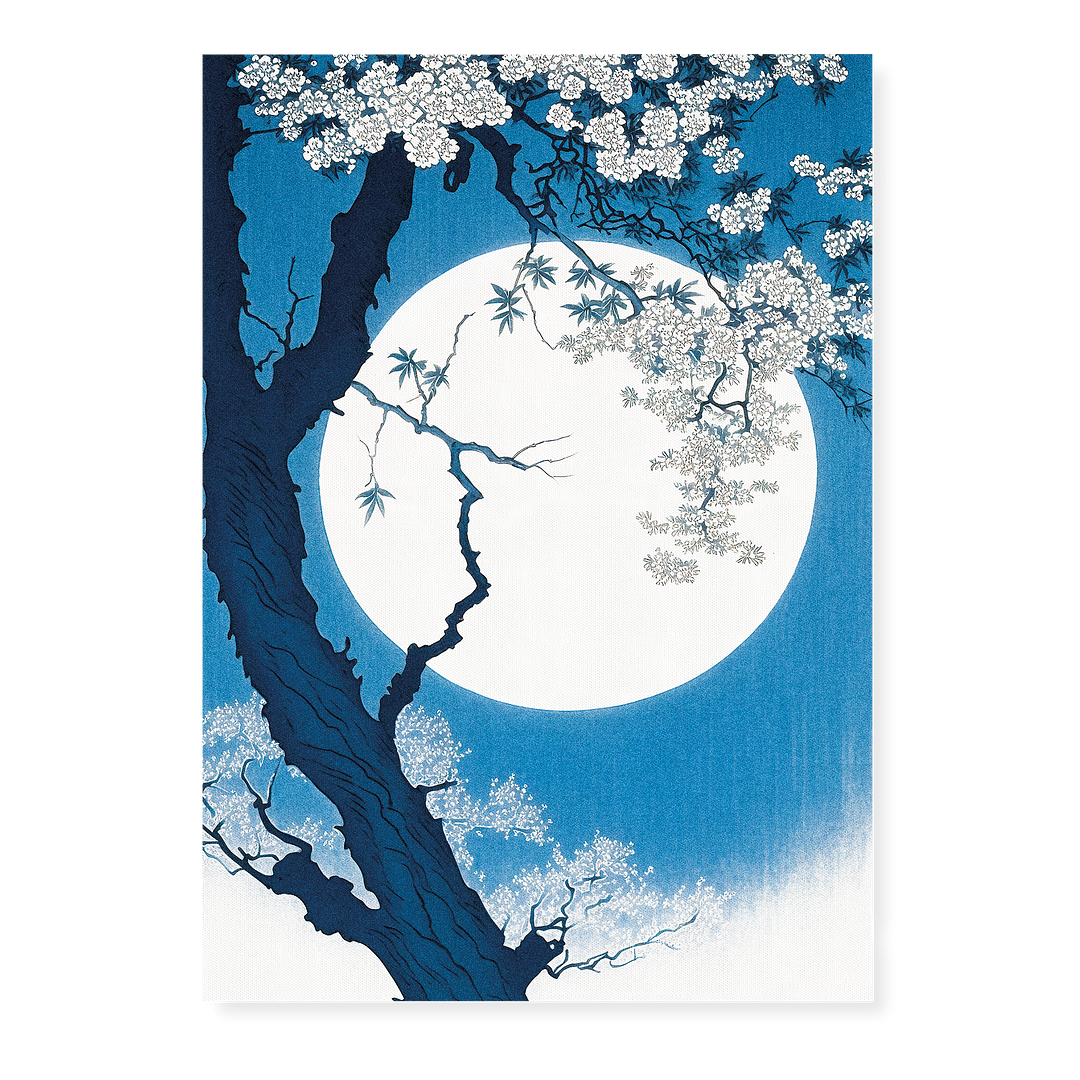 Cherry blossoms on a Moonlit Night - Art Print