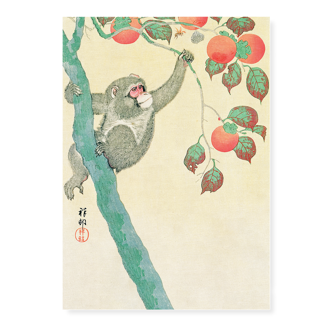 Monkey in a Persimmon Tree By Ohara Koson - Art Print