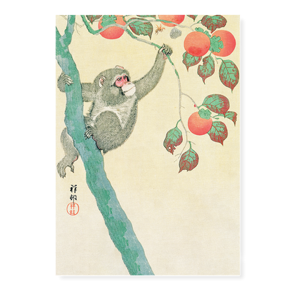 Monkey in a Persimmon Tree By Ohara Koson - Art Print