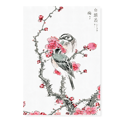 Pine Bunting and Plum Tree By Numata Kashu - Art Print