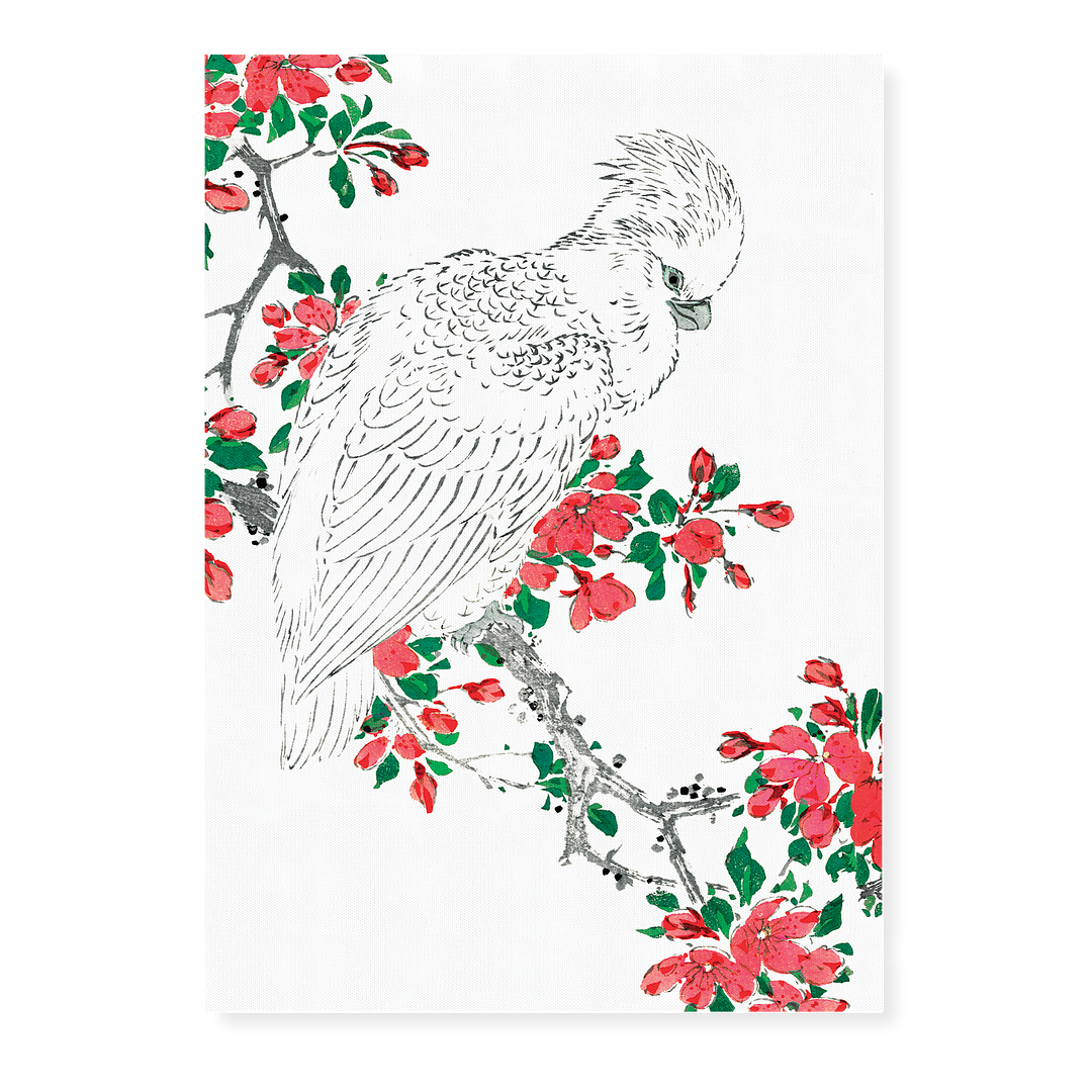 Parrot and Pyrus spectabilis By Numata Kashu - Art Print