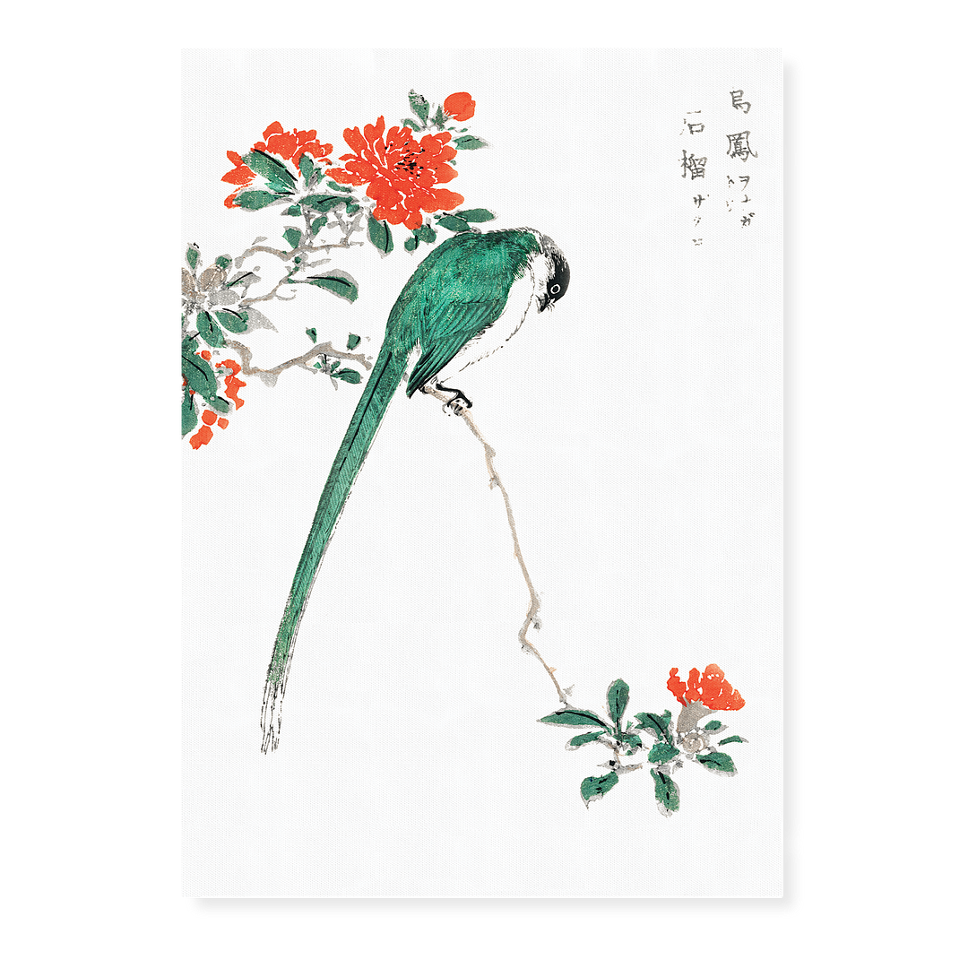 Japanese Long-tailed Tit and Pomegranate By Numata Kashu - Art Print