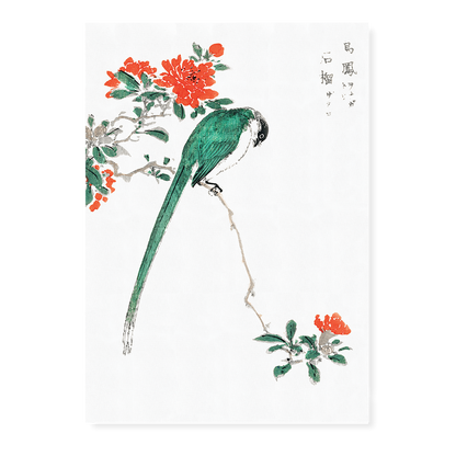 Japanese Long-tailed Tit and Pomegranate By Numata Kashu - Art Print