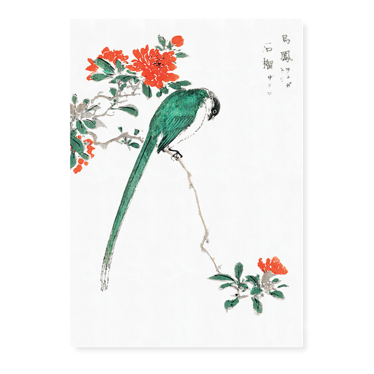 Japanese Long-tailed Tit and Pomegranate By Numata Kashu - Art Print