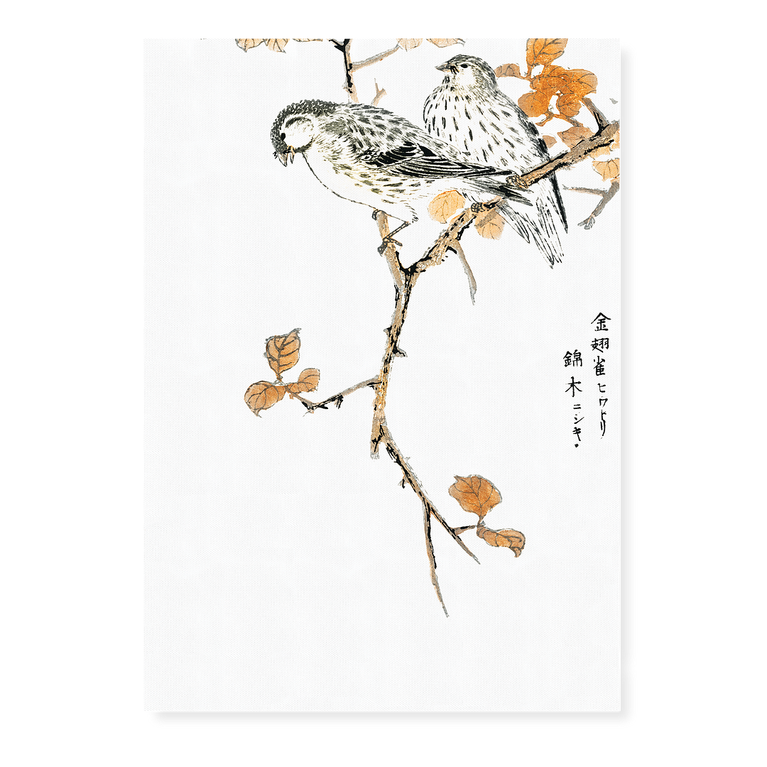 Siskin and Euonymus Alata By Numata Kashu - Art Print