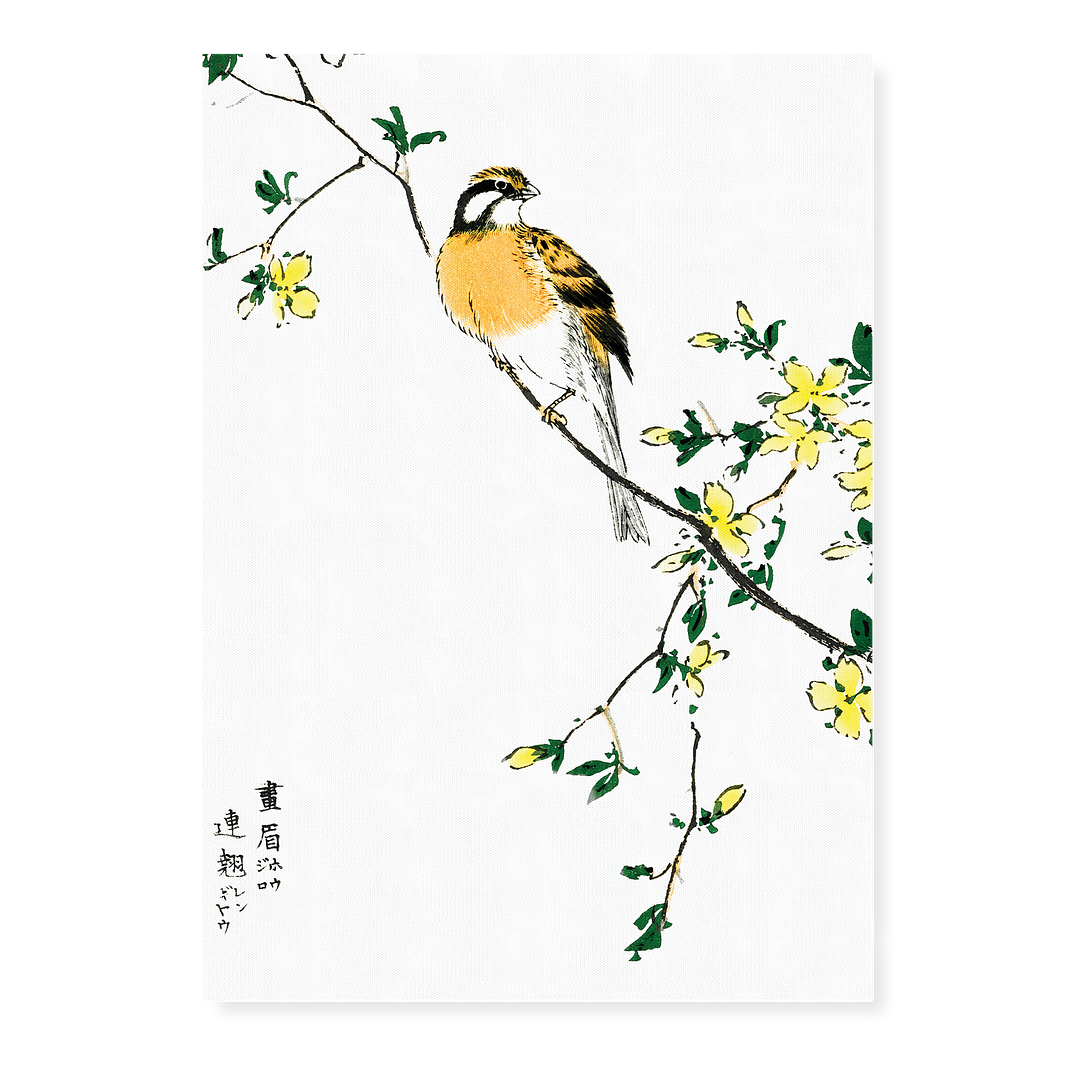 Japanese Meadow Bunting and Golden Ball By Numata Kashu - Art Print