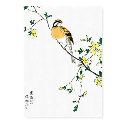 Japanese Meadow Bunting and Golden Ball By Numata Kashu - Art Print