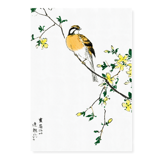 Japanese Meadow Bunting and Golden Ball By Numata Kashu - Art Print