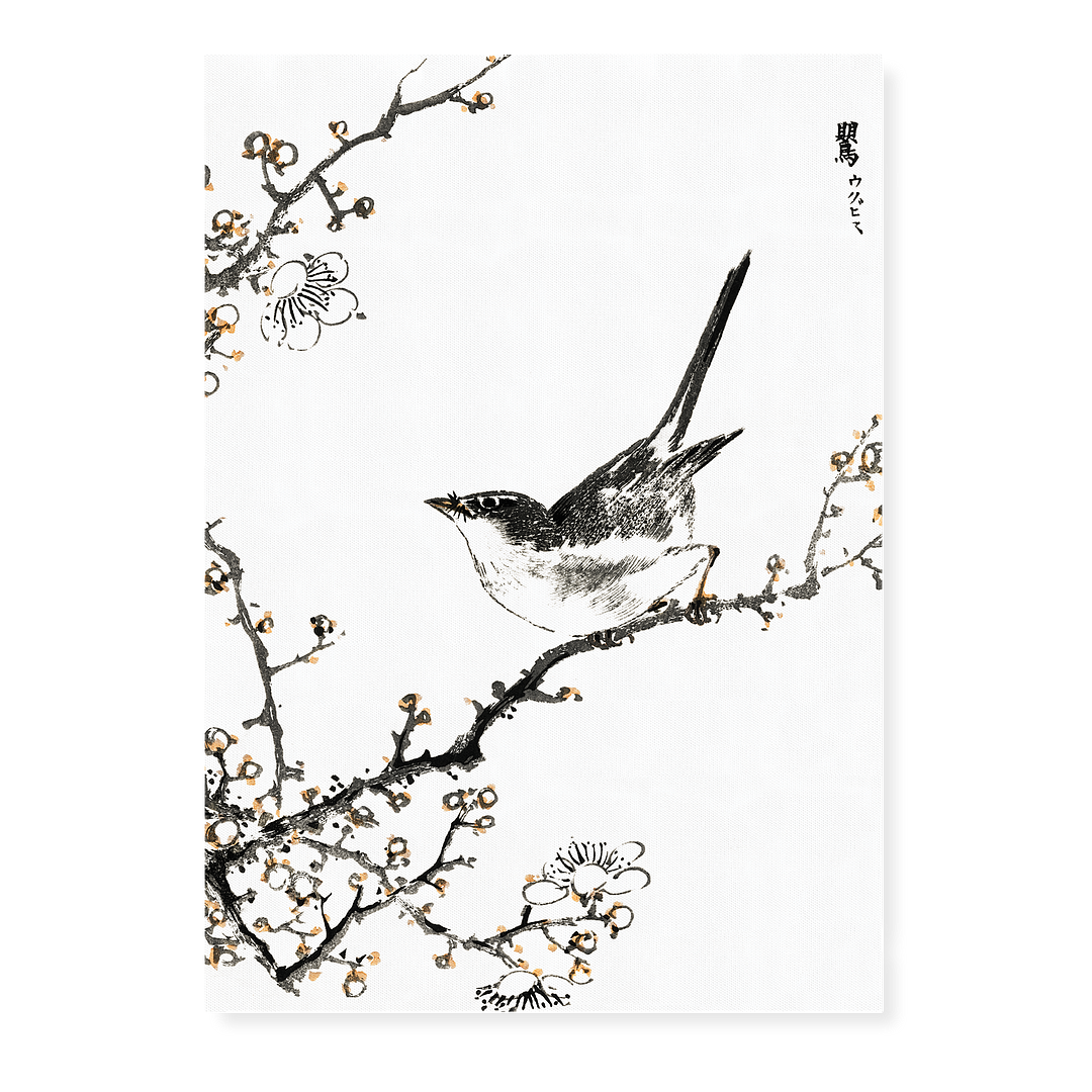 Bush-warbler and White Plum Tree By Numata Kashu - Art Print