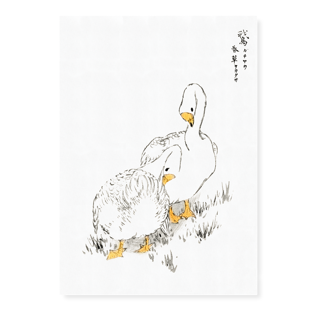 Duck and Young Grass By Numata Kashu - Art Print