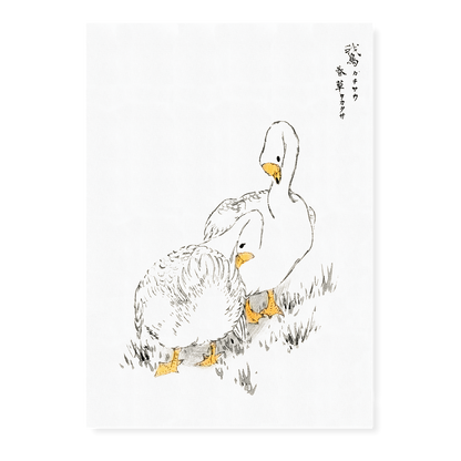 Duck and Young Grass By Numata Kashu - Art Print