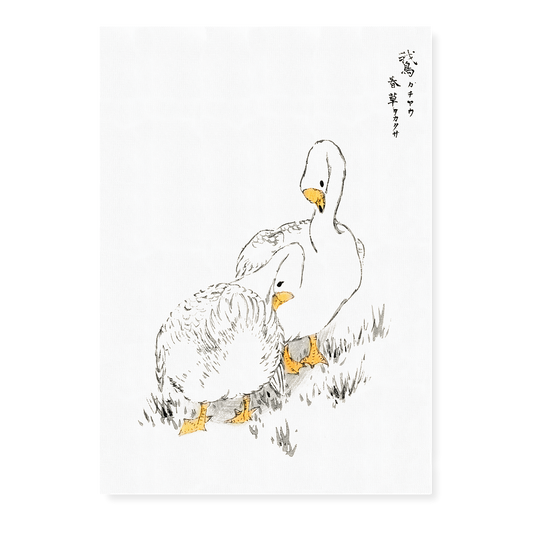 Duck and Young Grass By Numata Kashu - Art Print