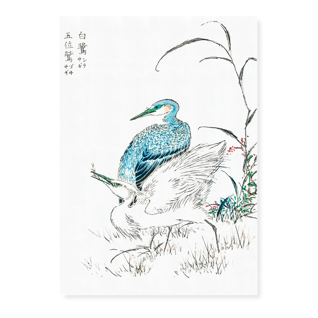 Night Heron and Little Egret By Numata Kashu - Art Print