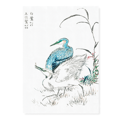 Night Heron and Little Egret By Numata Kashu - Art Print