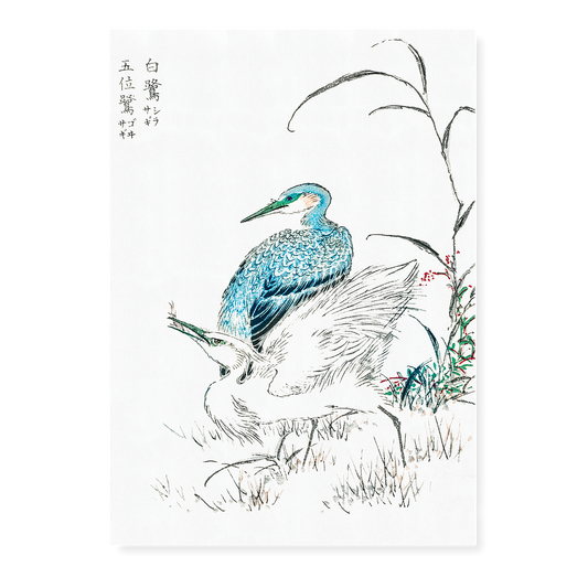 Night Heron and Little Egret By Numata Kashu - Art Print