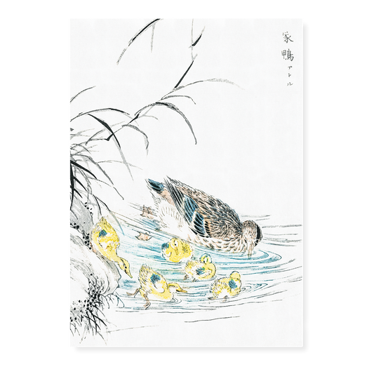 Duck By Numata Kashu - Art Print