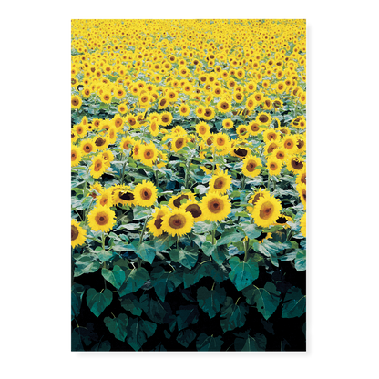 Sunflower Field Japanese Woodblock - Art Print