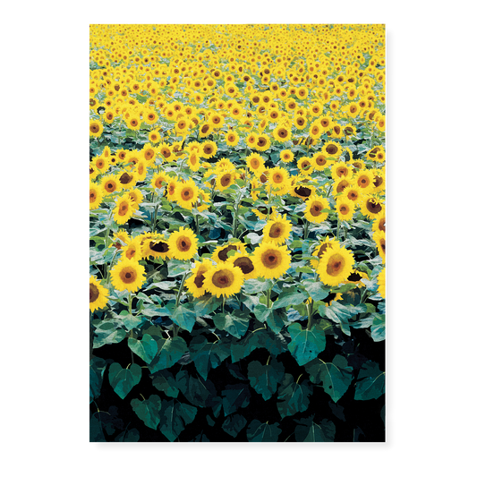 Sunflower Field Japanese Woodblock - Art Print