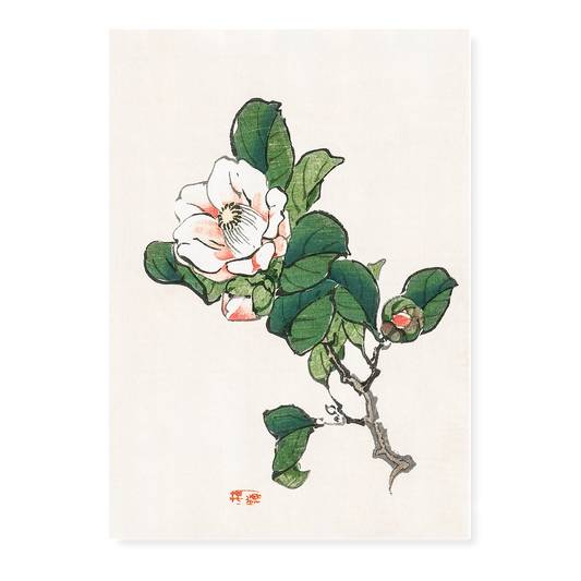 Camelia by Kōno Bairei  - Art Print