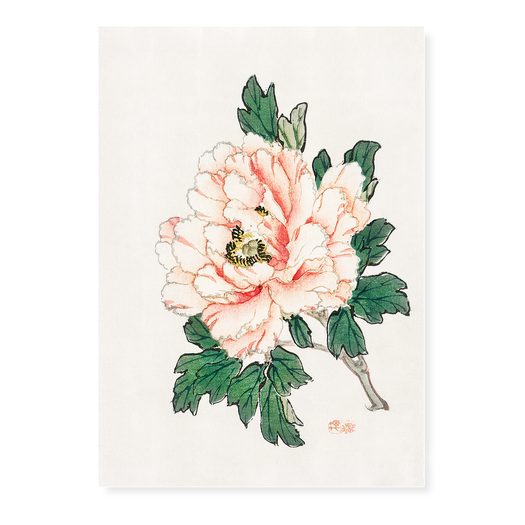 Pink rose by Kōno Bairei - Art Print