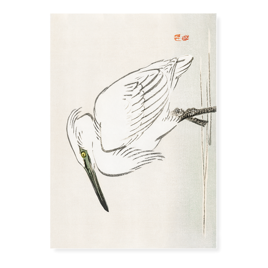 Snowy egret by Kōno Bairei - Art Print