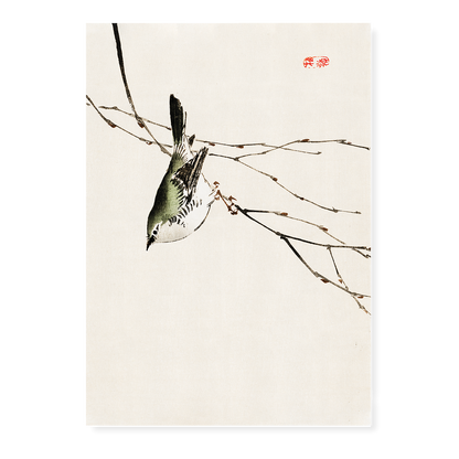 Tit by Kōno Bairei - Art Print