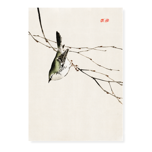 Tit by Kōno Bairei - Art Print