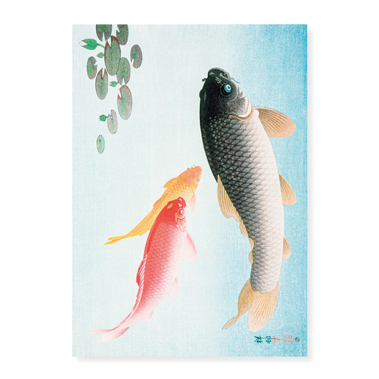 Common and Golden Carp by Ohara Koson. - Art Print