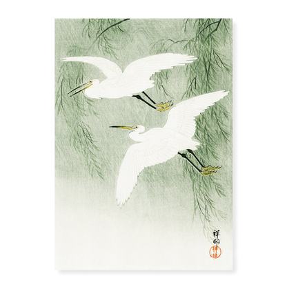 Little Egrets in flight  by Ohara Koson  - Art Print