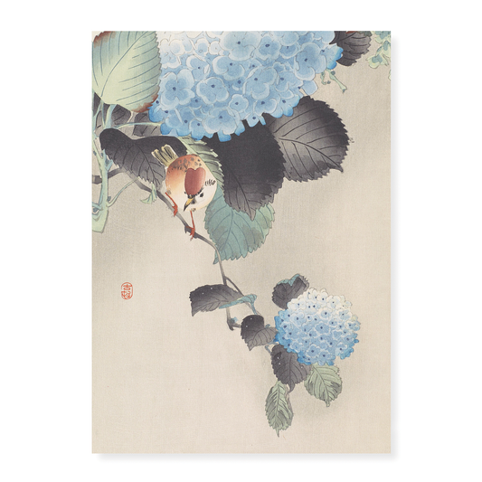 Sparrow and blue-white hortensia by Ohara Koson  - Art Print