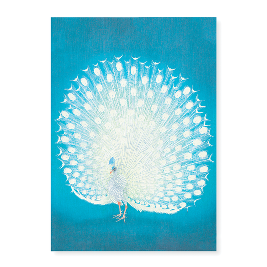 Peacock (Blue) By Ohara Koson - Art Print