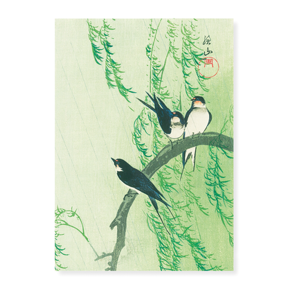 Barn Swallows and Willow - Art Print