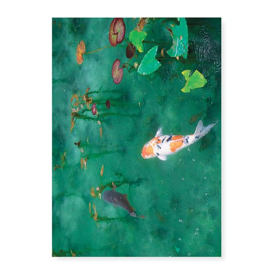 Koi Fish Serenity in the Water - Art Print