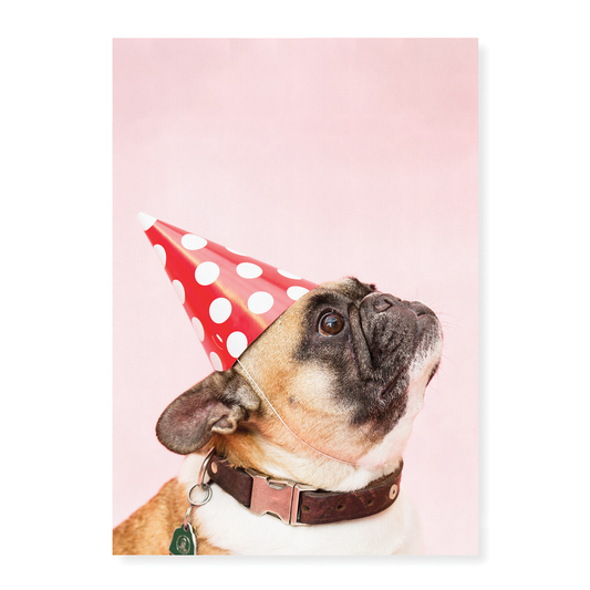 Frenchy with a party hat - Art Print