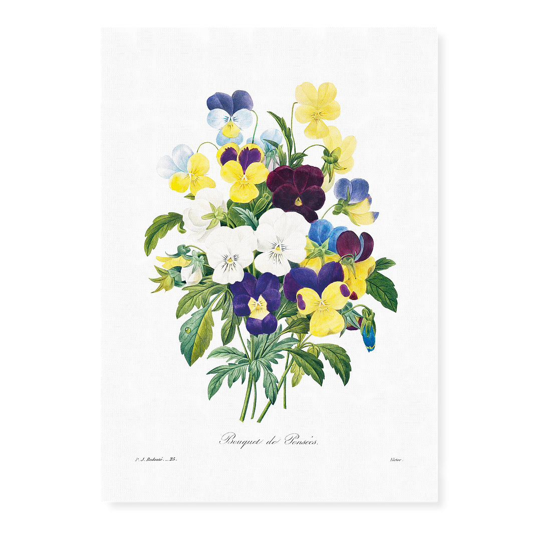 Pansy bouquet By Pierre-Joseph Redouté - Art Print