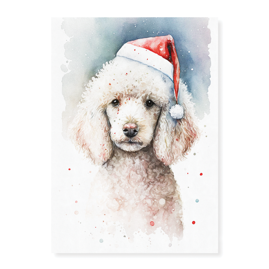 White poodle wearing a christmas hat - Art Print