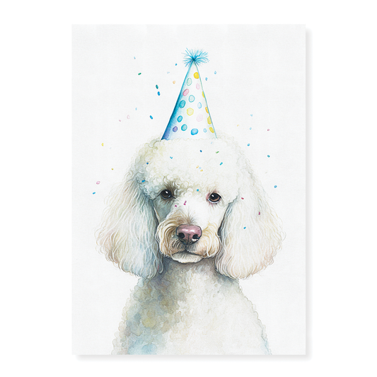 White poodle wearing a party hat - Art Print