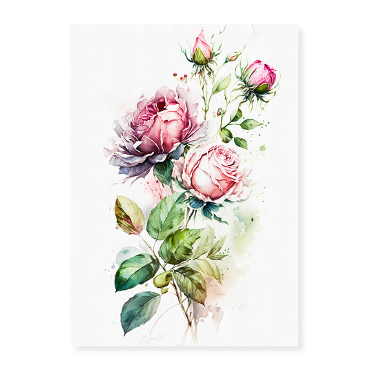 Pink rose II - Art Print