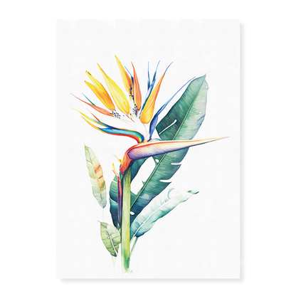 Strelitzia I - Art Print