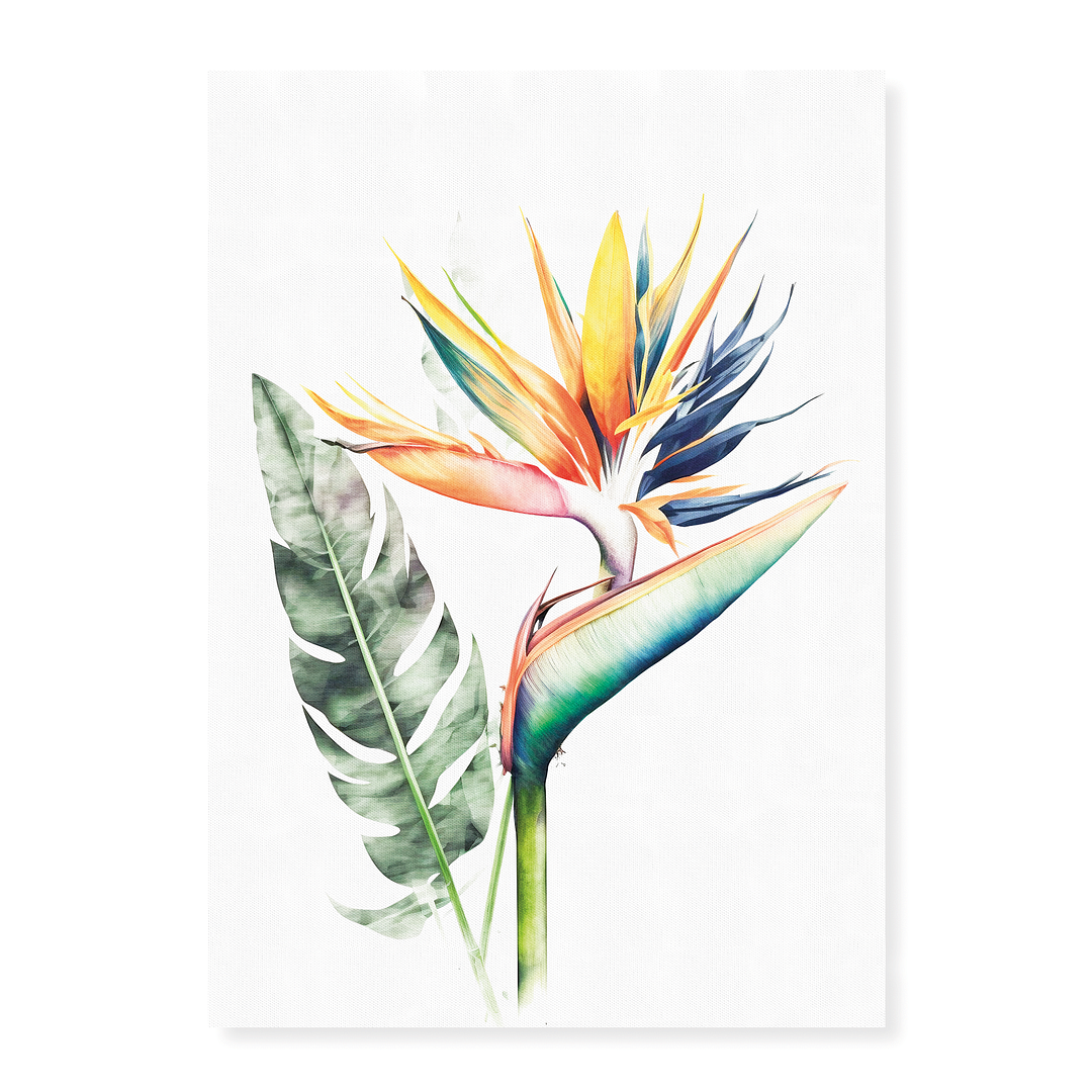 Strelitzia II - Art Print