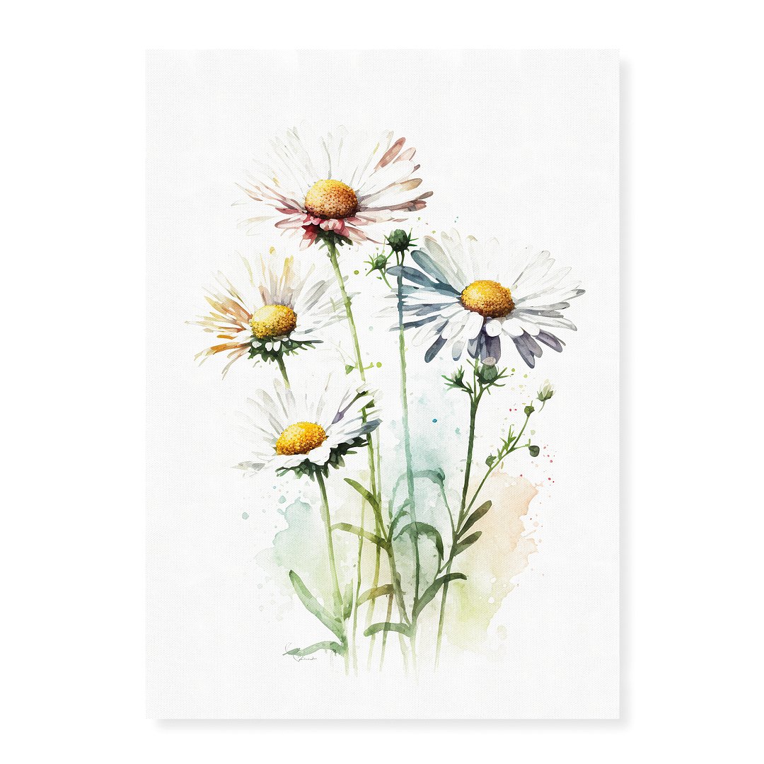 Daisies IV - Art Print